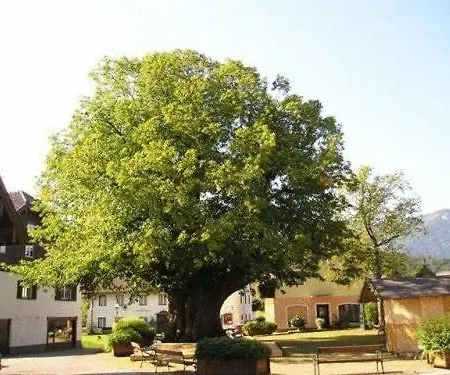 Schierl 3* פאיסטנאו